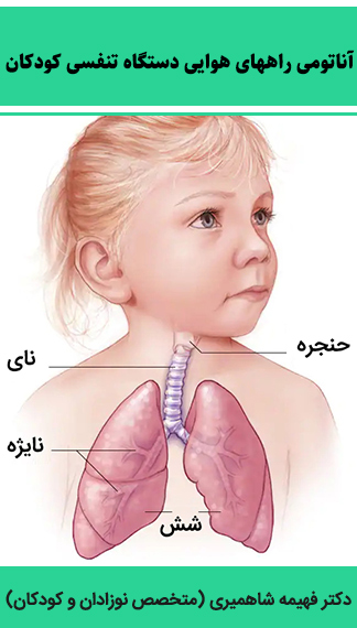 آناتومی-راههای-هوایی-دستگاه-تنفسی-کودکان